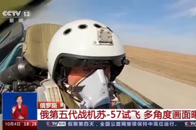 俄罗斯第五代战机苏-57试飞 多角度画面曝光图片