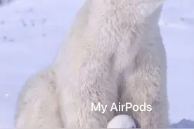 卖萌虽可耻，但有用图片