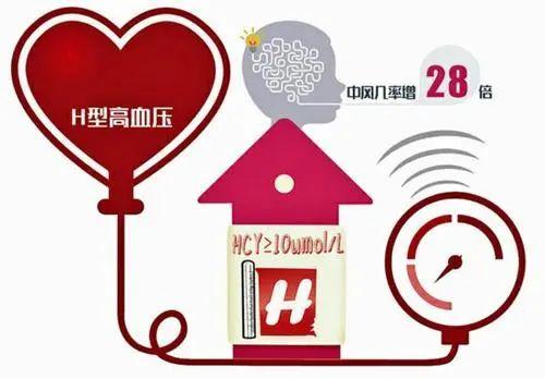 75%的高血压患者中招的H型高血压，筛查、营养素治疗、降压缺一不可