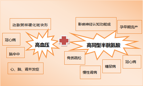 75%的高血压患者中招的H型高血压，筛查、营养素治疗、降压缺一不可