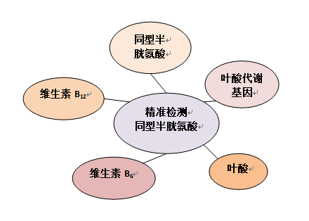 75%的高血压患者中招的H型高血压，筛查、营养素治疗、降压缺一不可