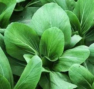 75%的高血压患者中招的H型高血压，筛查、营养素治疗、降压缺一不可