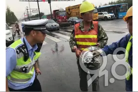 剧毒！杭州50岁大叔，被黑蛇一口咬住虎口图片