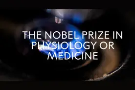 巴甫洛夫很忙，巴甫洛夫正在死亡图片