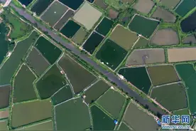 海边田园风光秀图片