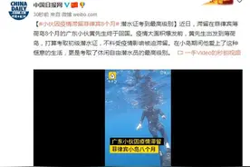 小伙因疫情滞留菲律宾8个月 潜水证考到最高级别图片