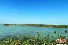 山东从“河”说起 黄河沿岸铺就一幅美丽生态画卷图片