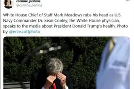 白宫幕僚长这张照片火了图片