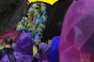 "我后悔了，我不想出来玩了！"有人黄山爬到一半想回家，进退两难...图片