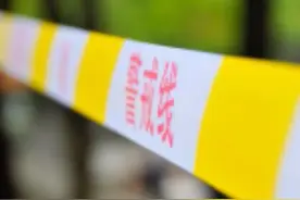 吉林扶余交通事故：轻型货车16人全部死亡，多为收玉米的农民图片