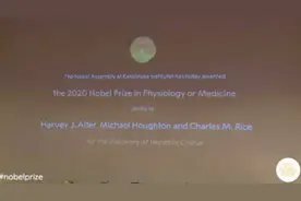 2020诺贝尔生理学或医学奖揭晓 三名科学家获奖图片