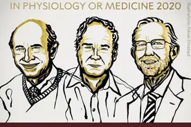 诺贝尔生理学或医学奖揭晓！特殊之年，曾经的得主也投身新冠研究图片