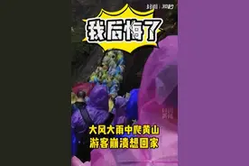 "我后悔了，我不想出来玩了！"有人黄山爬到一半想回家，进退两难……图片