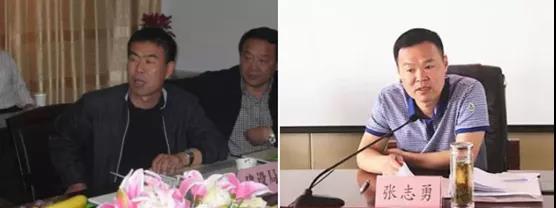 涉黑家族一家28个官员！如何打破“关系网”拔出“保护伞”？