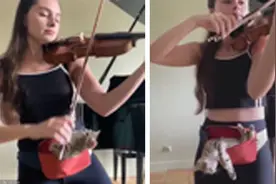 女子练习小提琴 宠物猫在腰包中静静欣赏图片