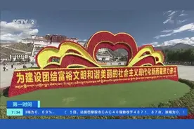 布达拉宫一票难求！西藏接待游客超114万人次图片