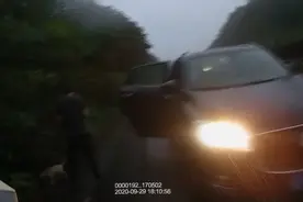 下雨天有人高速应急车道“遛狗”，因为想让小狗透会儿气，上个厕所图片
