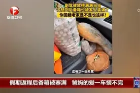 返程高峰已开启，后备箱又被塞满了！连这个空间也没放过……图片