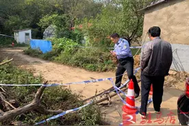 惊险！放羊村民发现一枚遗留炮弹图片