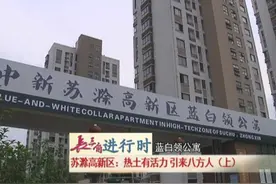 长三角进行时：苏滁高新区 热土有活力 引来八方人图片