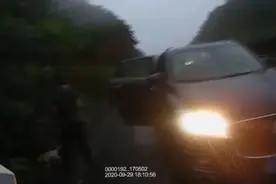 迷惑行为！小狗吵闹要透气，湖南一司机下雨天在高速上遛起了狗……图片