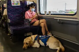 导盲犬变广州南站“熟客”，视障咖啡师口述坐高铁回家的体验视频封面