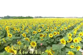 【访千童故里 品秦汉神韵】 可爱的盐山 （15）图片