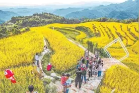 南平三楼村：发展乡村旅游助力脱贫致富图片