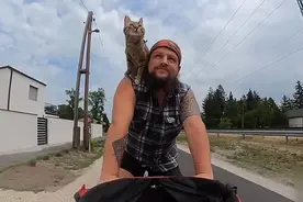 苏格兰男子带流浪猫骑车环游世界图片
