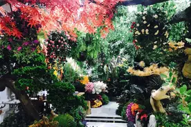 嗨8丨留住自然界的美，仿真花装扮也能给你一室温馨图片