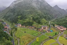 黄连苦　蜂蜜甜　旅游乐--重庆南川区庙坝村脱贫致富记图片