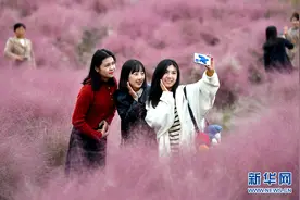 安徽亳州：乐享假期图片