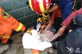 阜阳两岁女童头卡在水泥管孔洞内 消防员剪断钢筋救出孩子图片