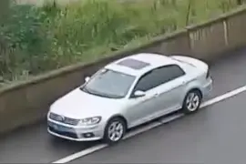 把高速当观景台？乘客高速路下车拍照打卡...图片