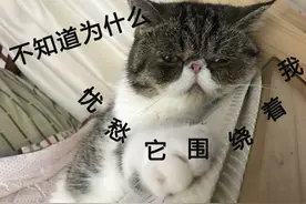 假期最后一天 这份收心大法请收好图片
