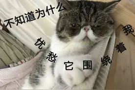 假期最后一天 这份收心大法请收好图片