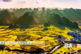 一碗蛋炒饭，火了一条街！小店日入3000元！炒饭“产业链”，你见过吗？图片