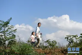 乡村里的快乐时光图片