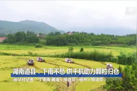 湖南道县：下雨不愁 烘干机助力颗粒归仓视频封面