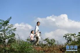 乡村里的快乐时光图片