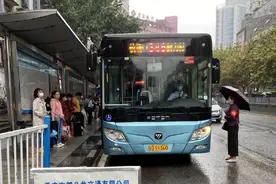 9万人乘坐384线、346线、329线等线路 打卡南山植物园、一华里、一棵树等景点图片
