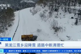惊叹！全国多地大雪纷飞！积雪足足半米！“冷”经济，“热”了……图片