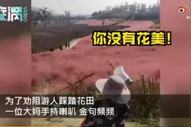 景区大妈硬核提醒游客别踩花田 景区大妈说了什么网友炸了图片