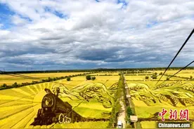 《我和我的家乡》热映带火沈阳沈北新区美丽乡村图片