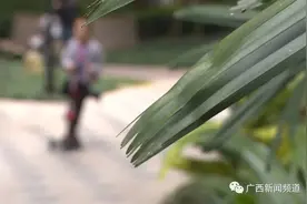 南宁5岁男童在小区里被狗咬伤整夜做噩梦，狗主人：就像蚊子叮了一下嘛图片