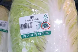 韩国大白菜62元一颗！腌泡菜的主妇急了 韩媒：简直是吃钻石图片