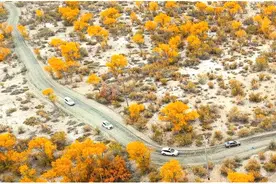 金秋十月，来木特塔尔沙漠玩吧图片