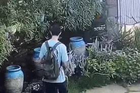 连踹仙人掌5次，“他还是个孩子”？规则面前人人平等，没有“孩子”只有公民图片