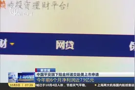 新京报：中国平安旗下陆金所递交赴美上市申请视频封面