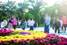 8天长假，蚌埠4A级景区共接待游客35.65万人次图片